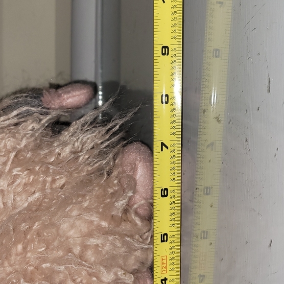 NWOT Merry Christmas Gnome - Picture 8 of 10